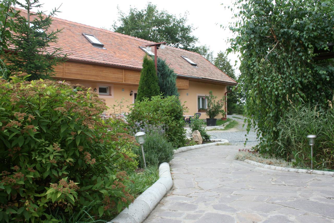 Penzion Hugo Sedlec-Prcice Exterior photo
